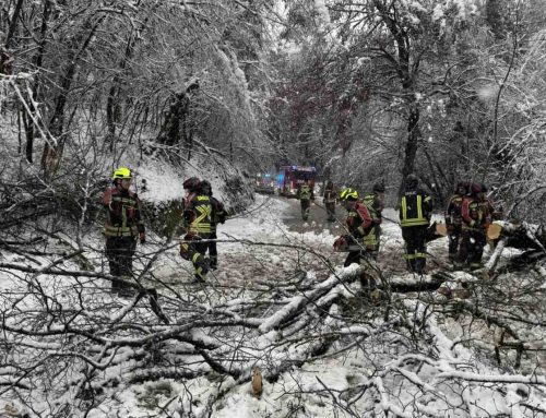 20.2.2026 – Snegolom